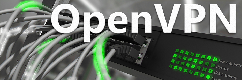 Server in nur fünf Minuten über OpenVPN einbinden