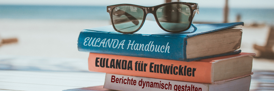 Etwas Handbuch lesen, so in den letzten Urlaubstagen?